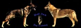 Wolf Pack Dog Training and Pet Sitting Service