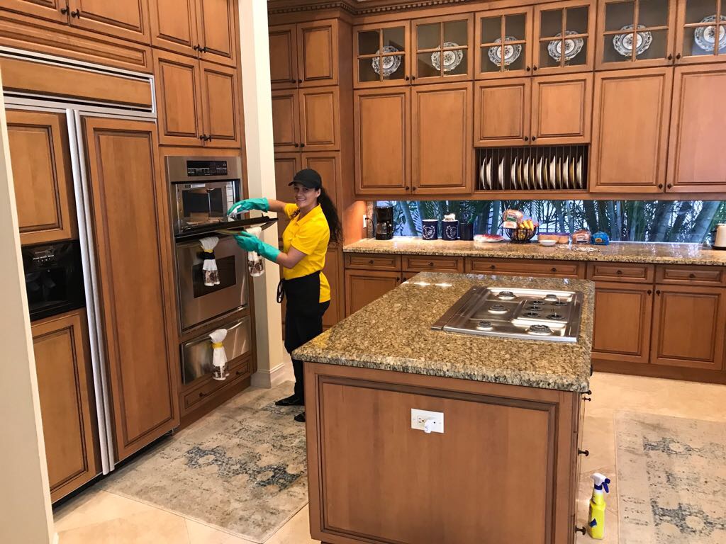 Taylor Brasil, LLC.'s Photo