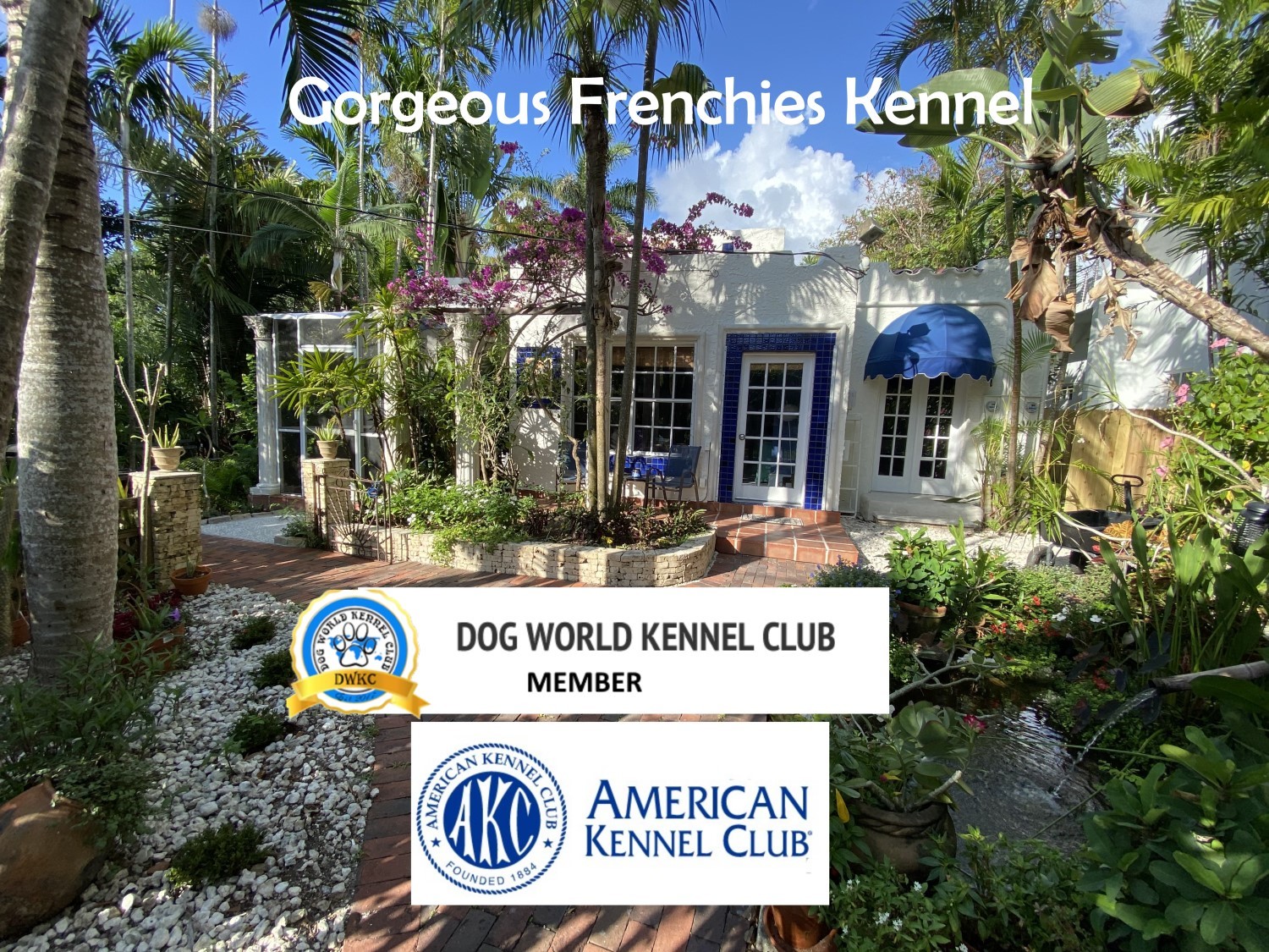 Grove Doggy Boarding's Photo