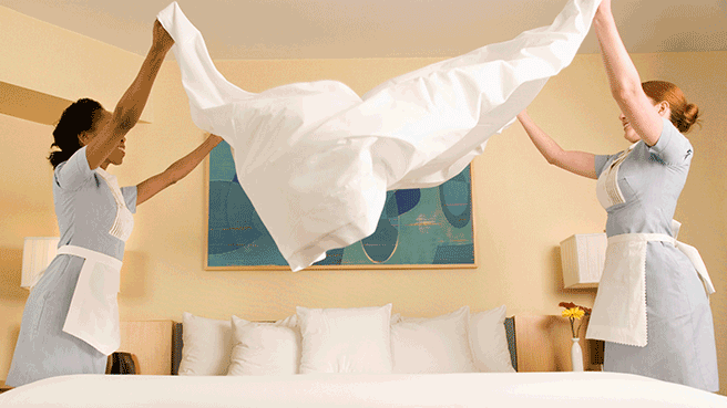 Spotless Essential's Photo