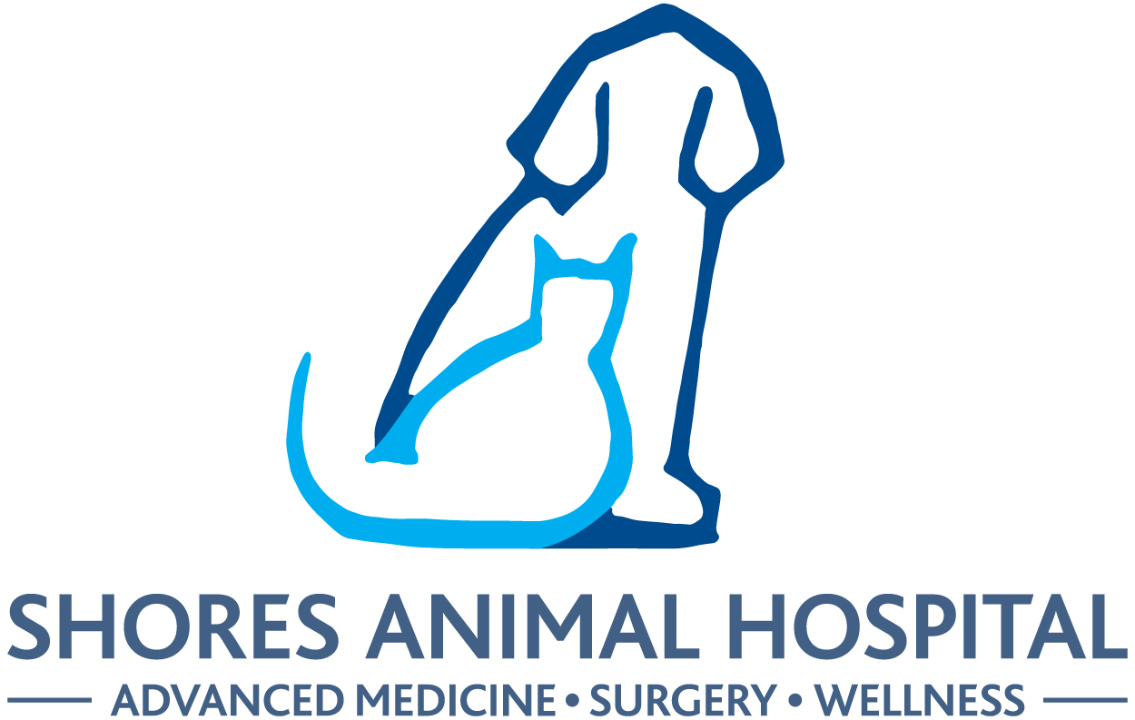 Shores Animal Hospital's Photo