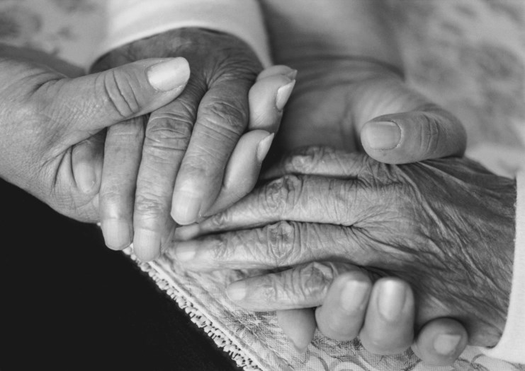 Photo gallery image - 4