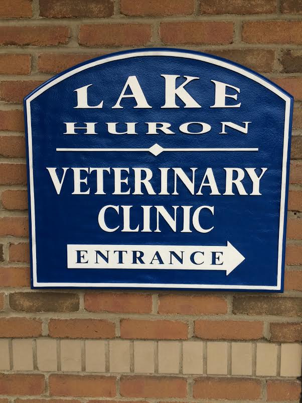 Lake Huron Veterinary Clinic's Photo