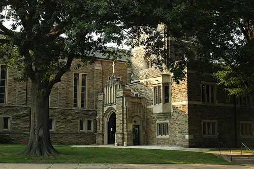 The Rainbow Connection Learning Center's Photo