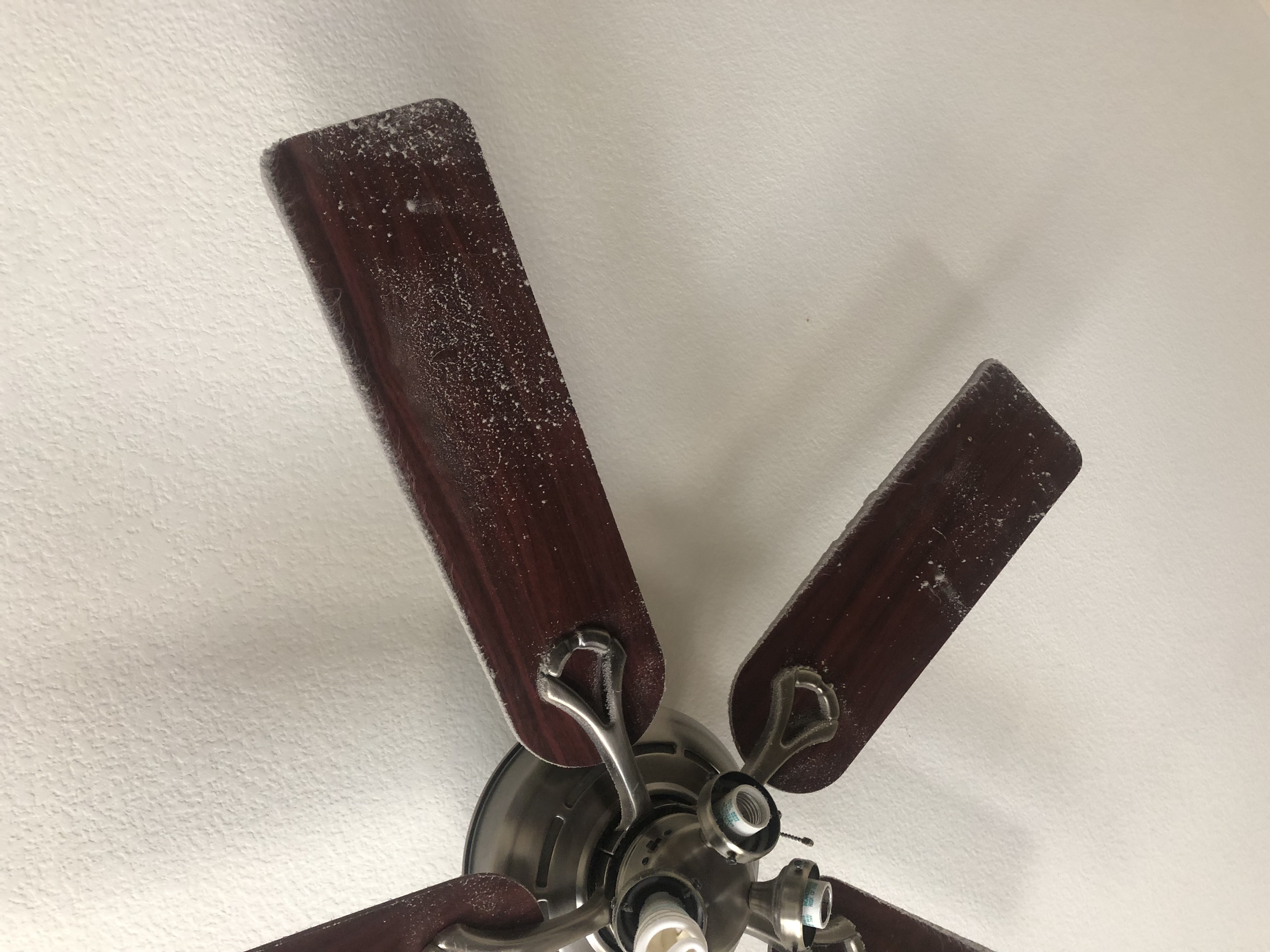 CP Complete Care Cleaning LLC's Photo