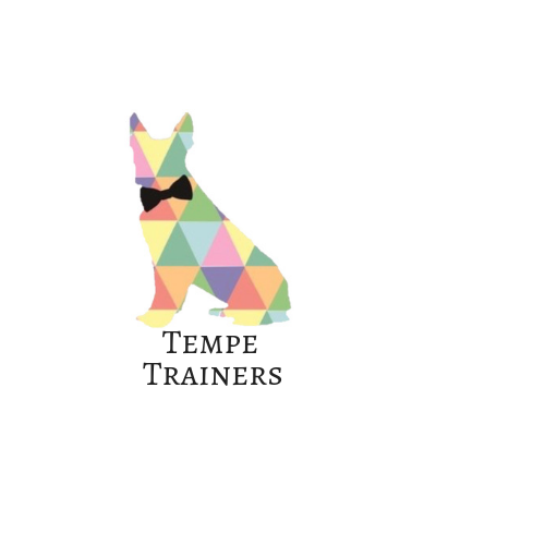 Tempe Trainers Logo