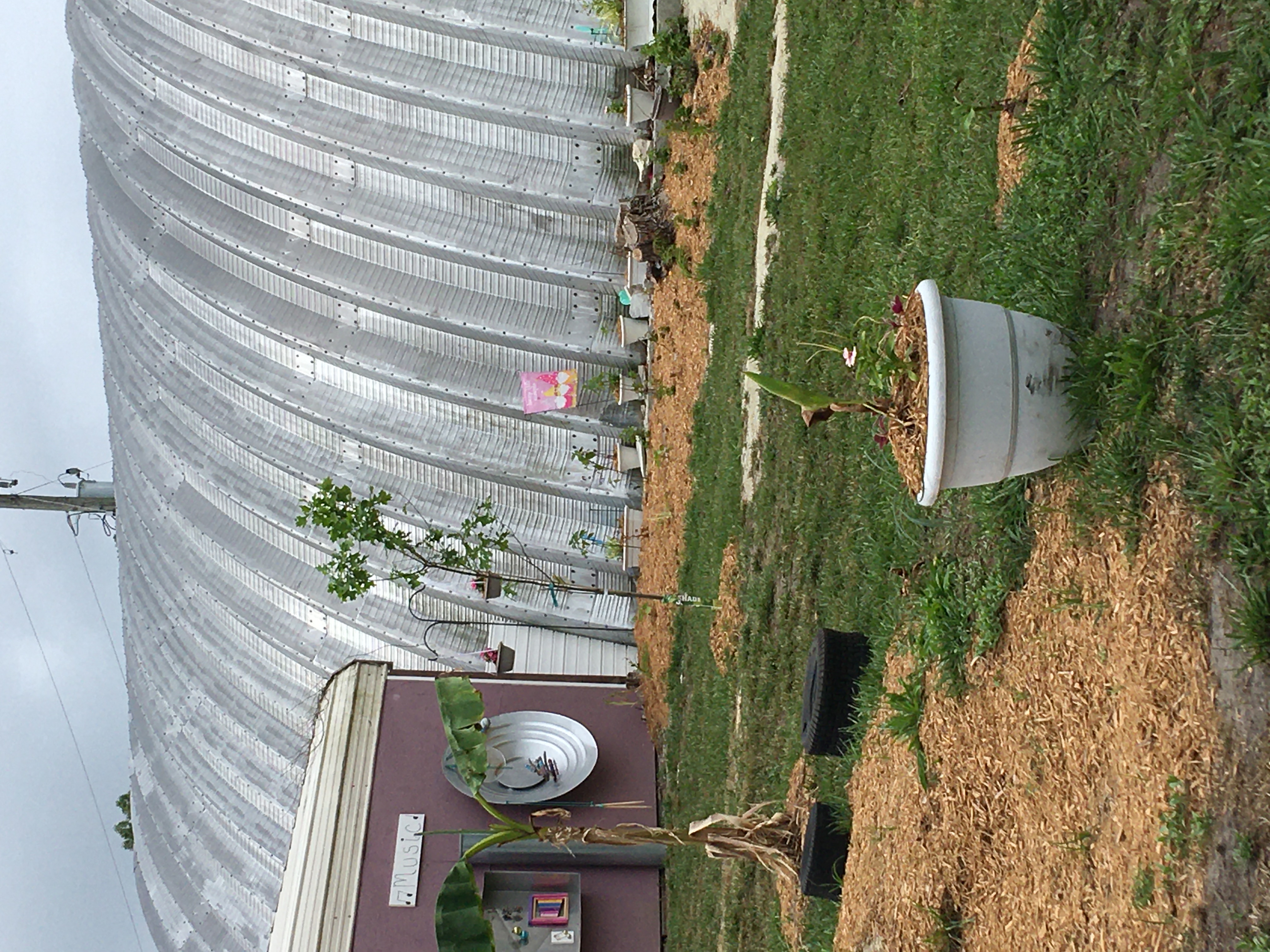 Treehouse Kids Preschool, LLC's Photo