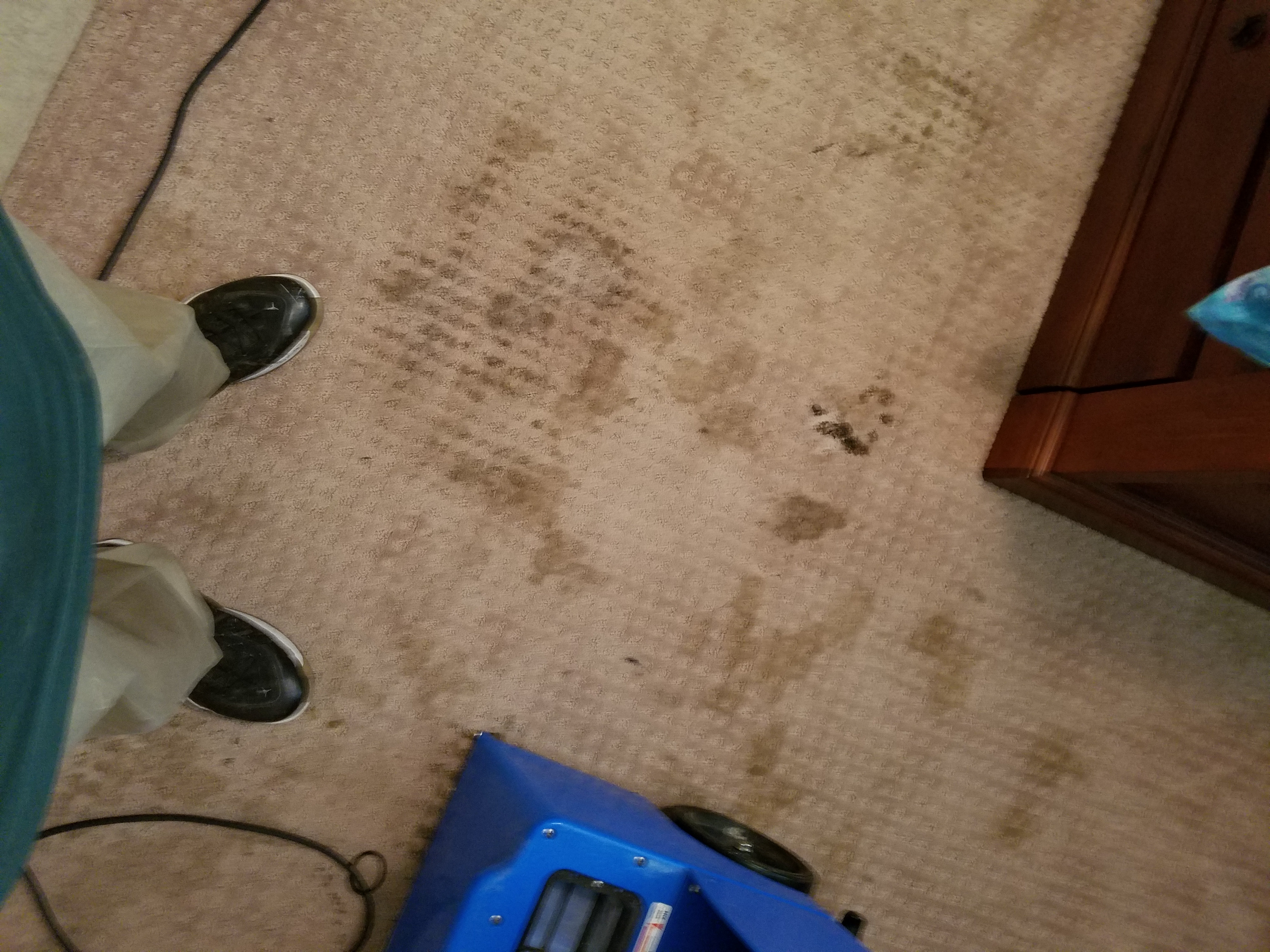 Clean Works Services's Photo