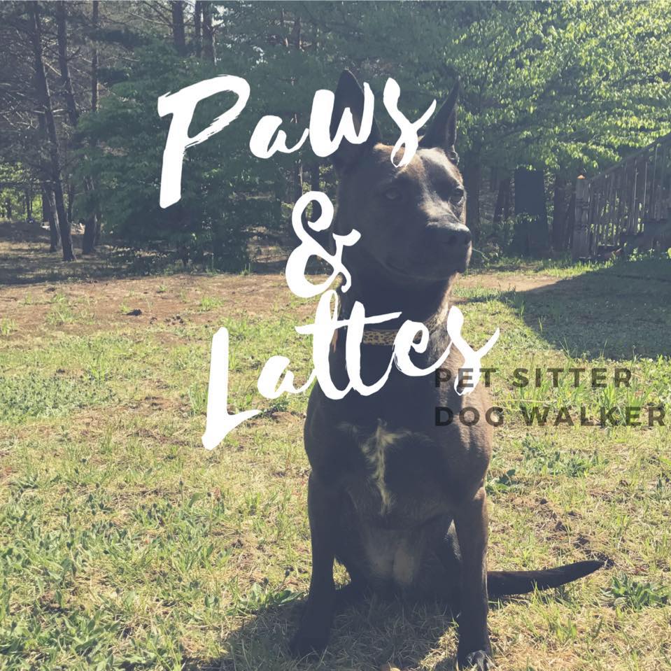 Paws And Lattes's Photo