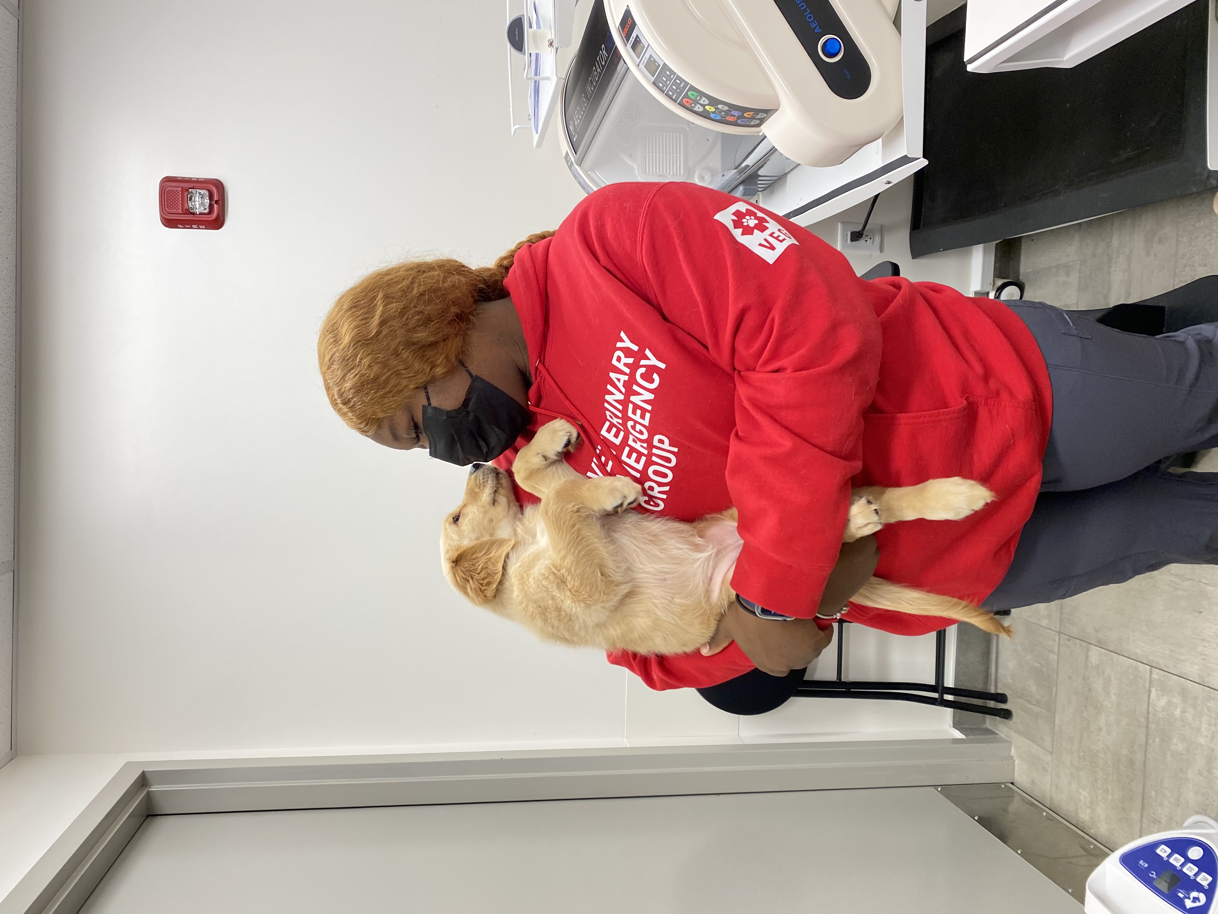 Paw Friends LLC's Photo