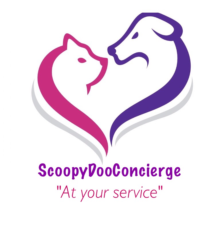 Scoopy Do Concierge's Photo