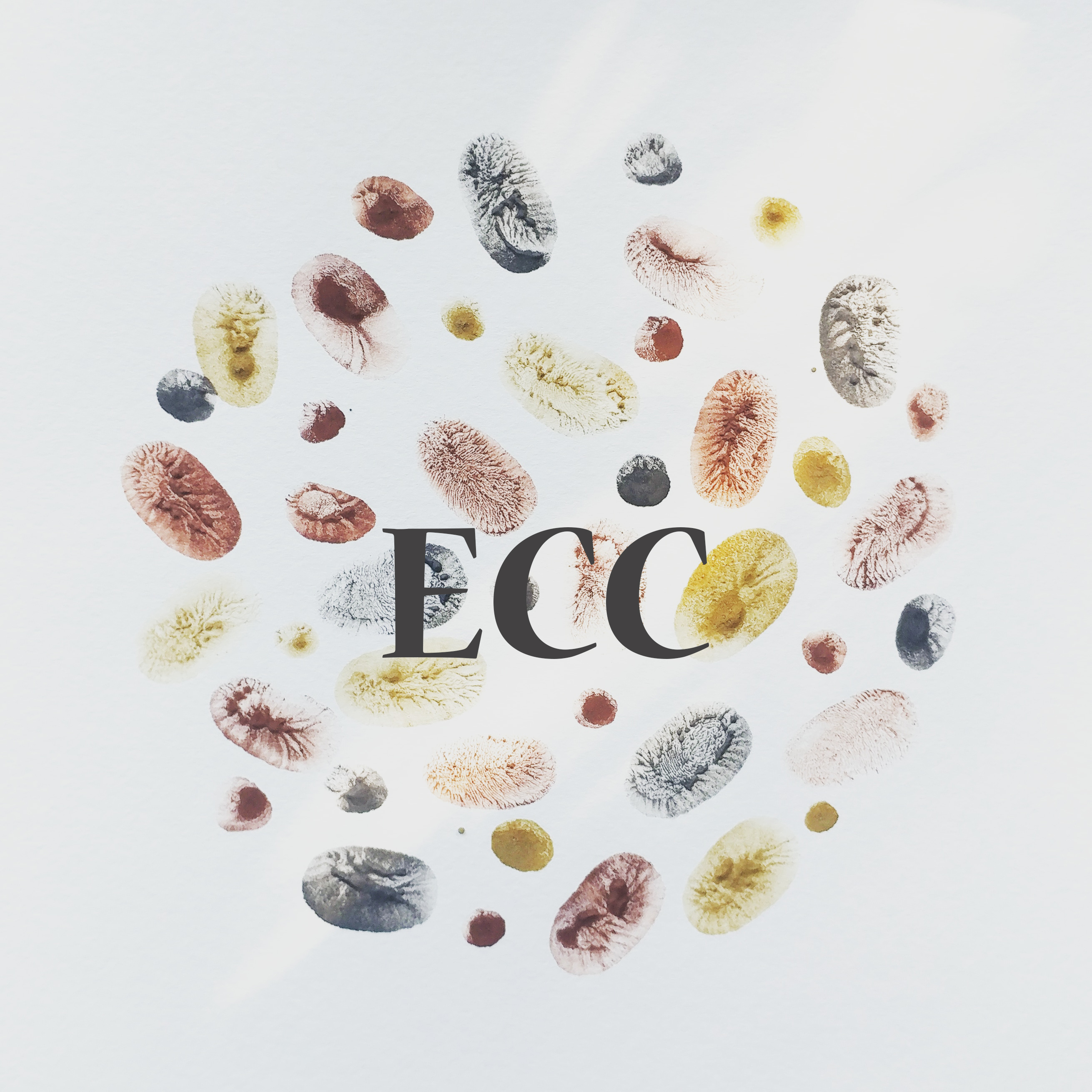 Eugene Childcare Collective's Photo