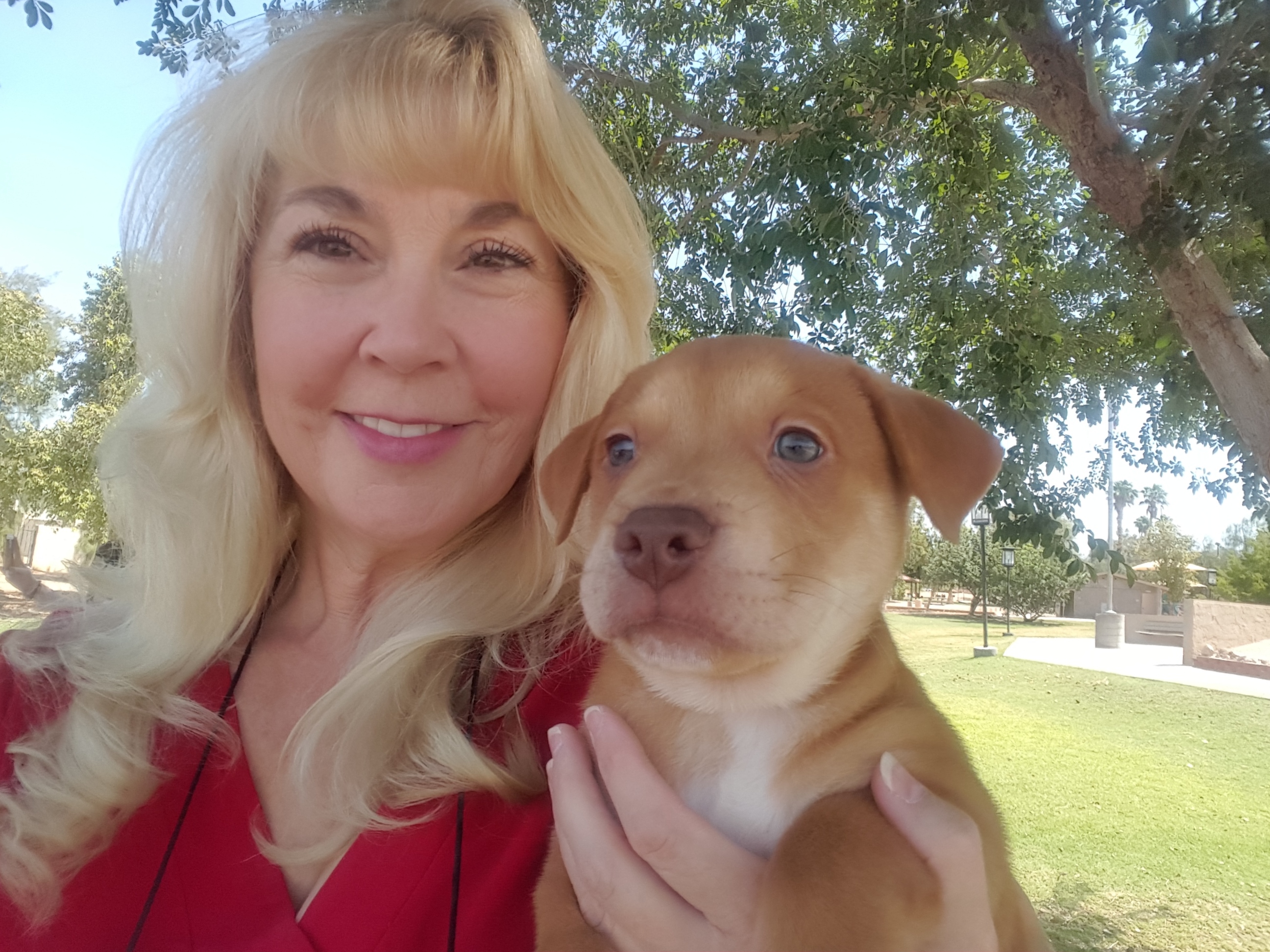 Merry PAWppins's Photo