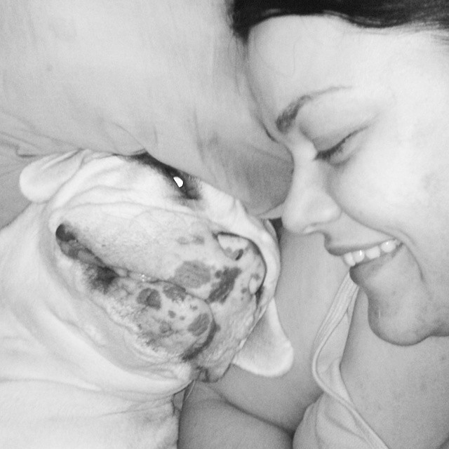 Anytime Pet Care Services's Photo