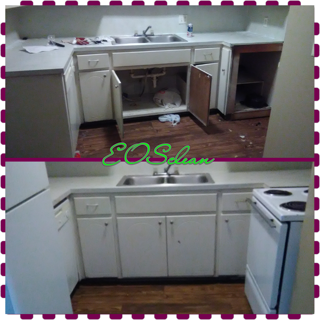 Essence Of Sanity Cleaning's Photo