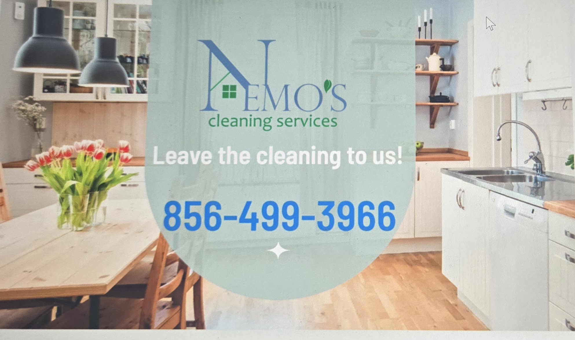 Nemo's Cleaning Services's Photo