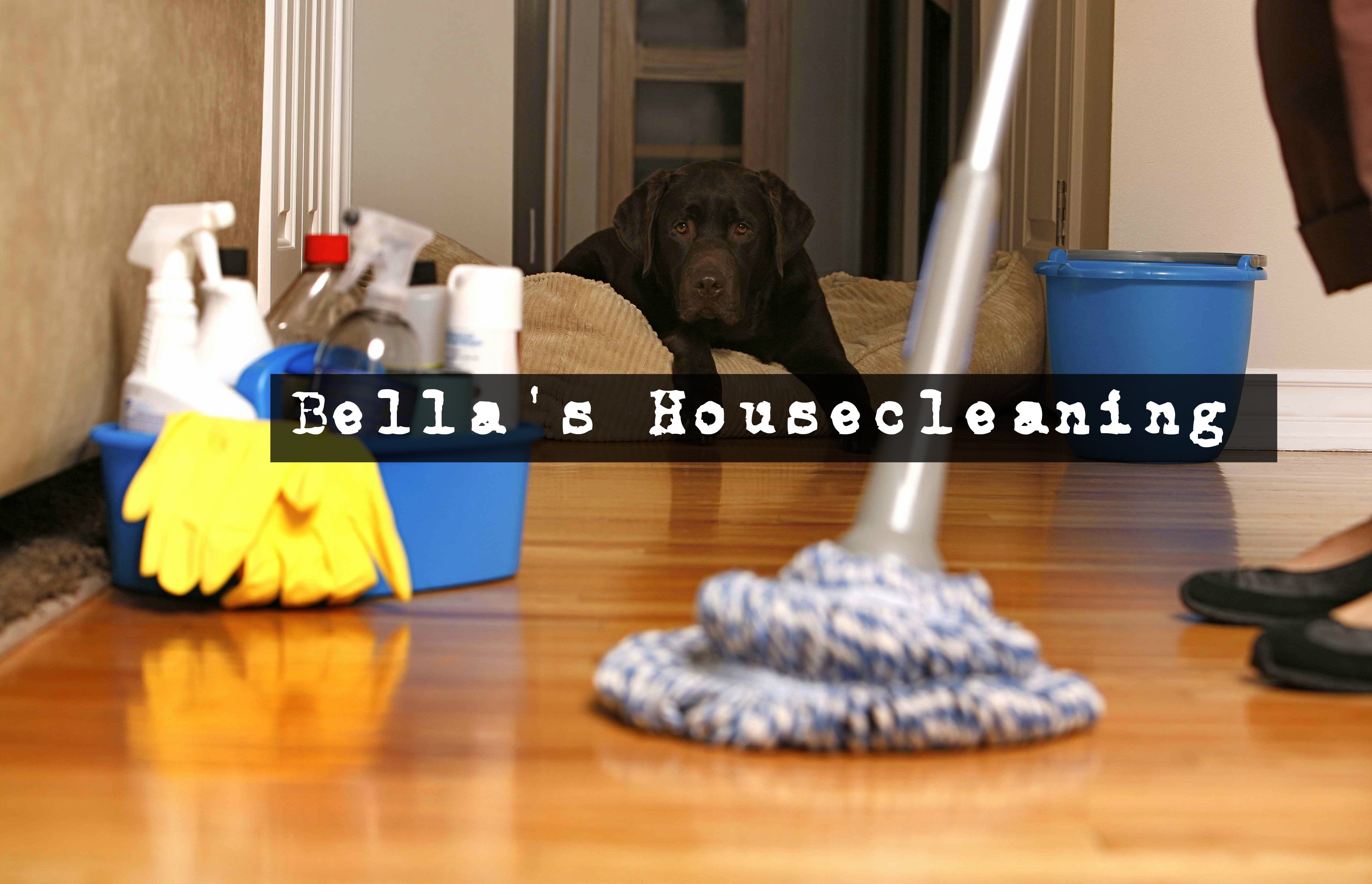 Bella's House Cleaning's Photo