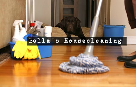 Bella's House Cleaning