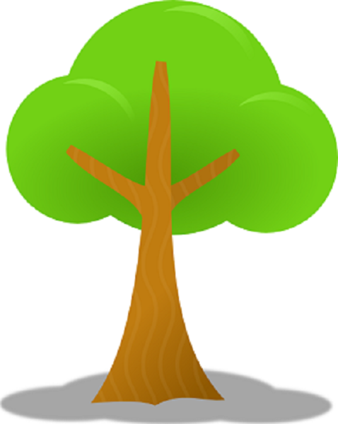 Nature Baby Daycare Logo