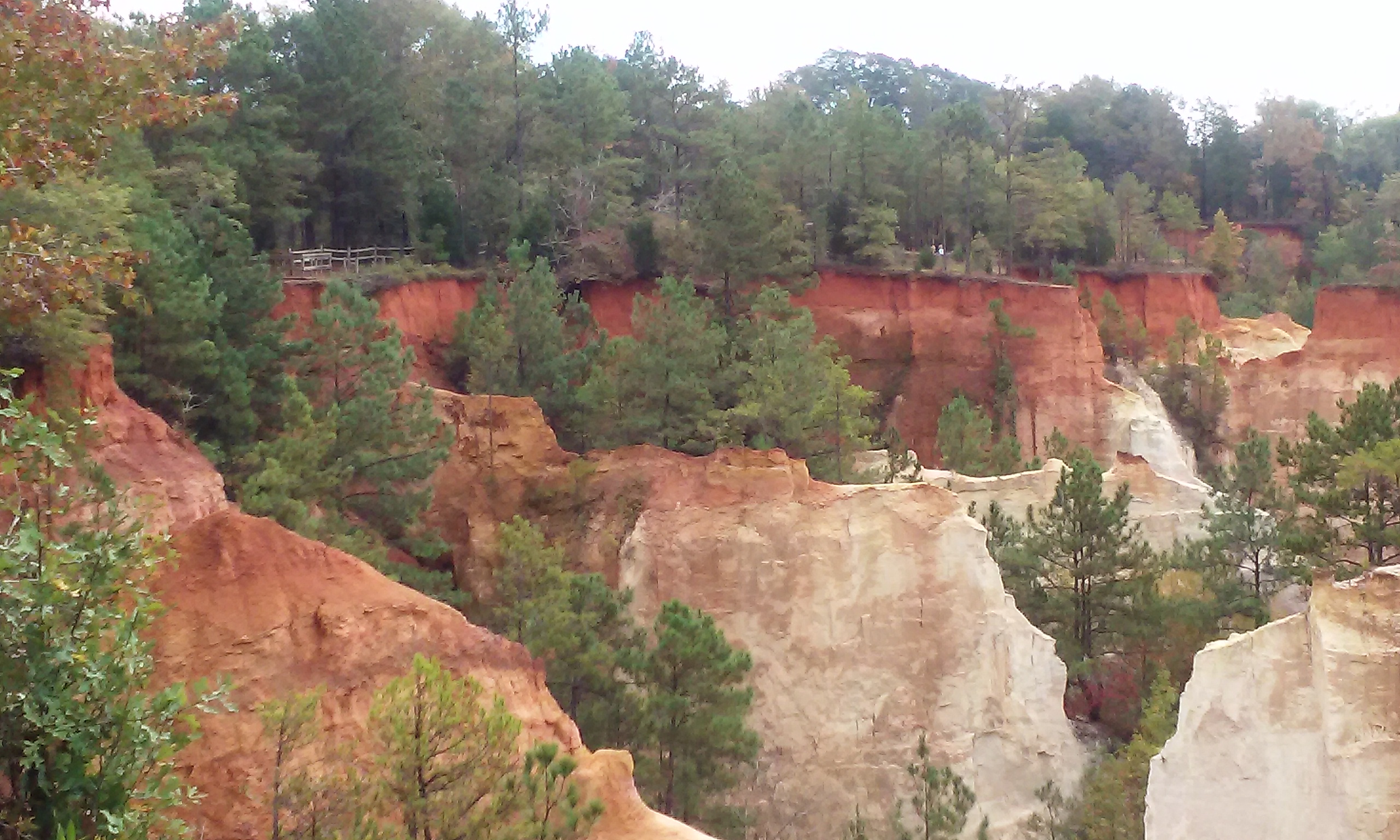 Elephant Rock Fieldschool's Photo