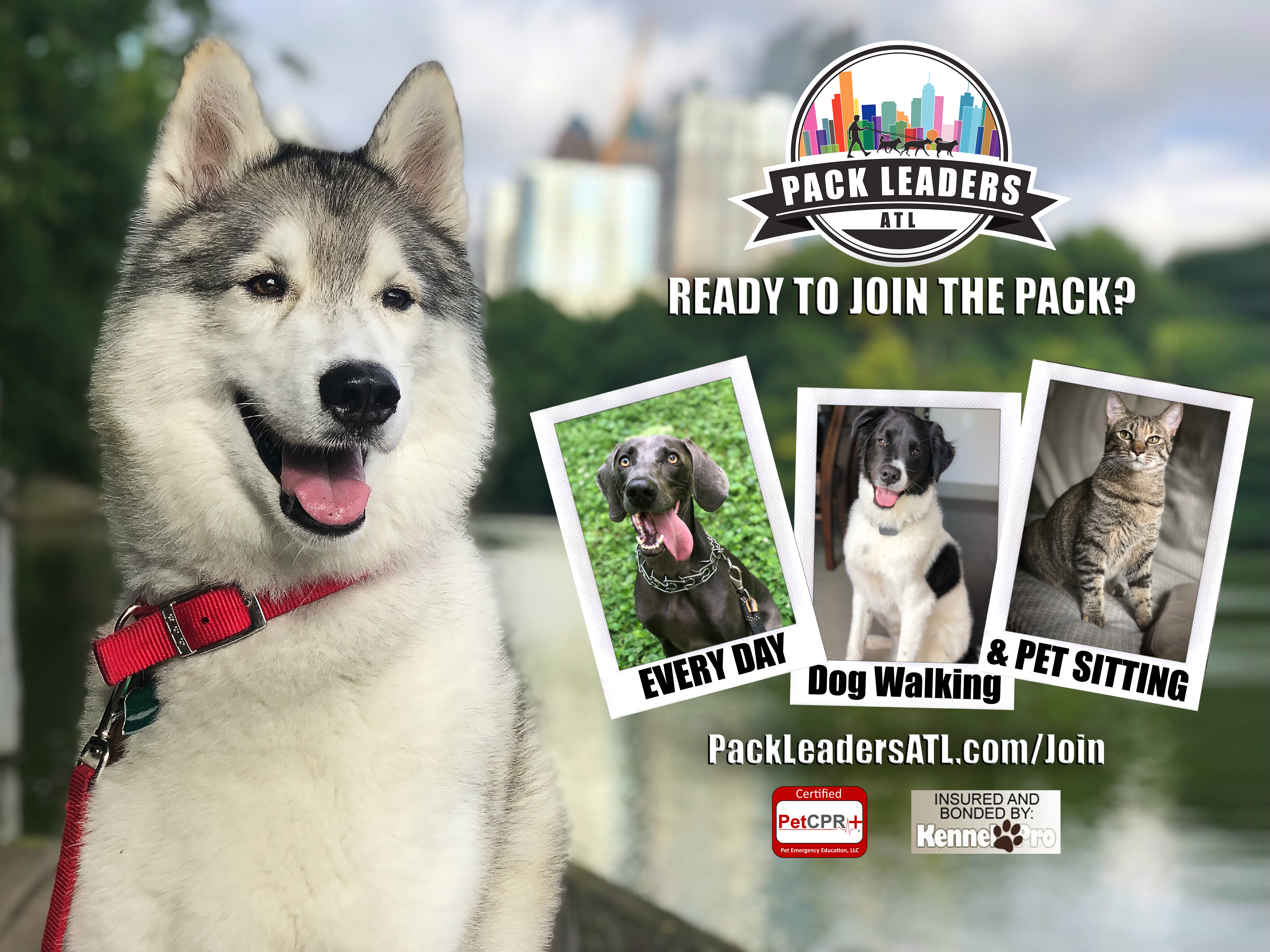 Pack Leaders ATL's Photo