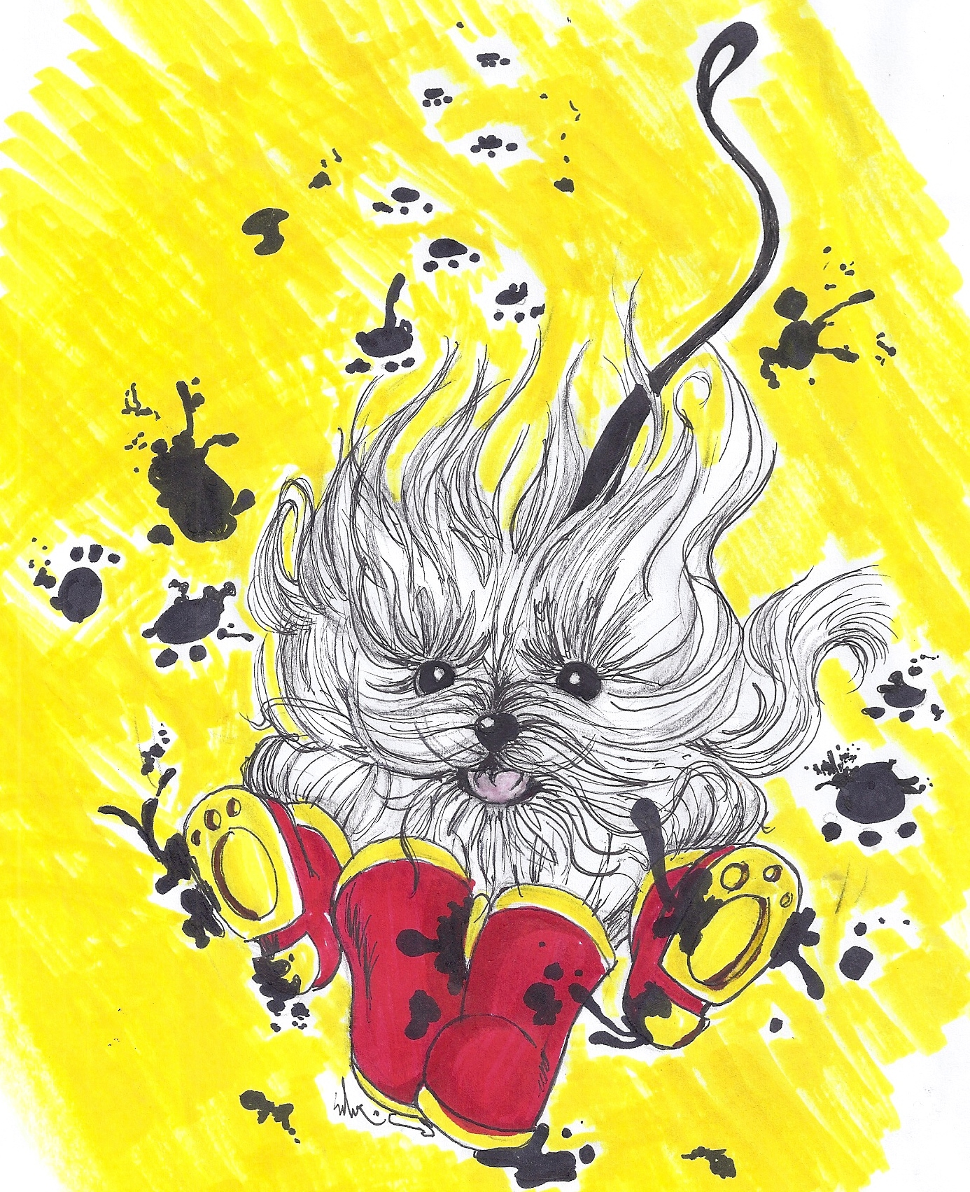 Happy Feet Dog Walkers's Photo