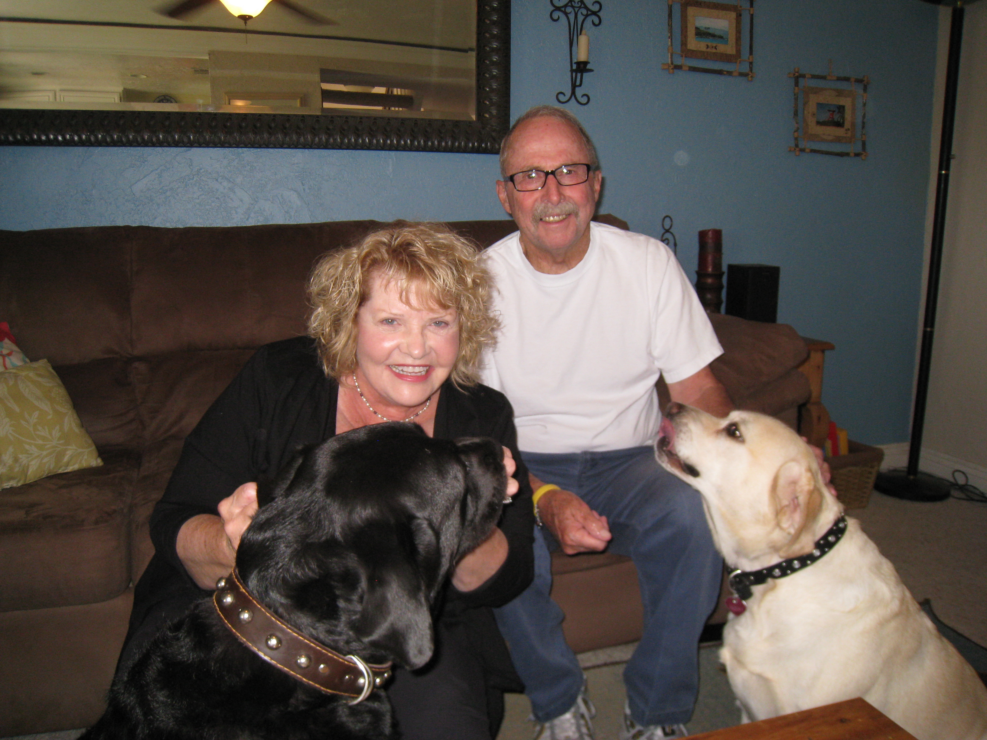 First Class Pet Sitting's Photo