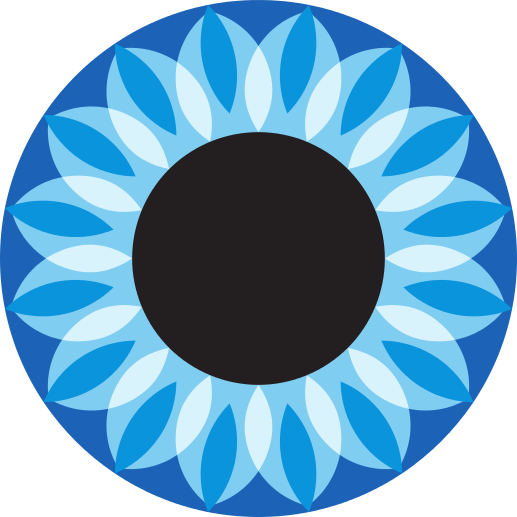 The Center For Vision Development Logo