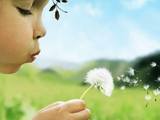 Mud Puddles & Dandelions
