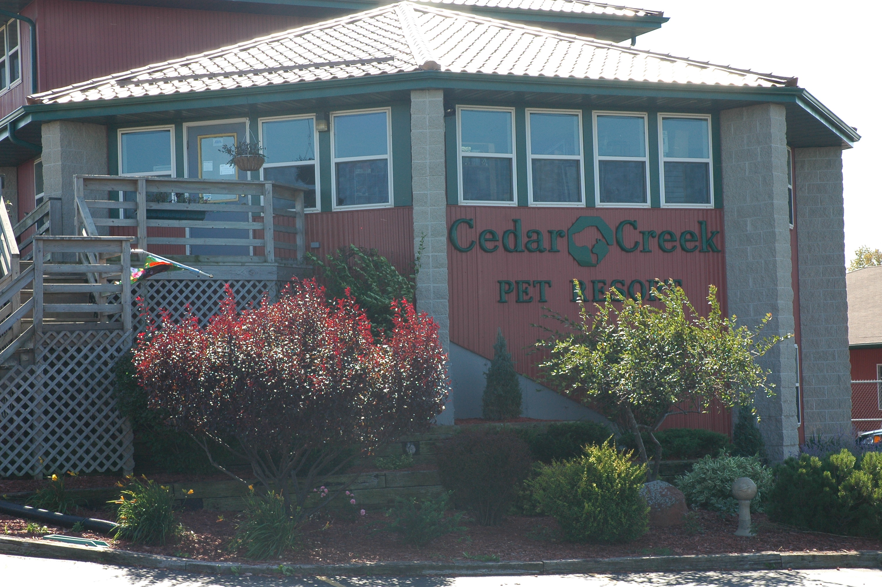 Cedar Creek Pet Resort Inc's Photo
