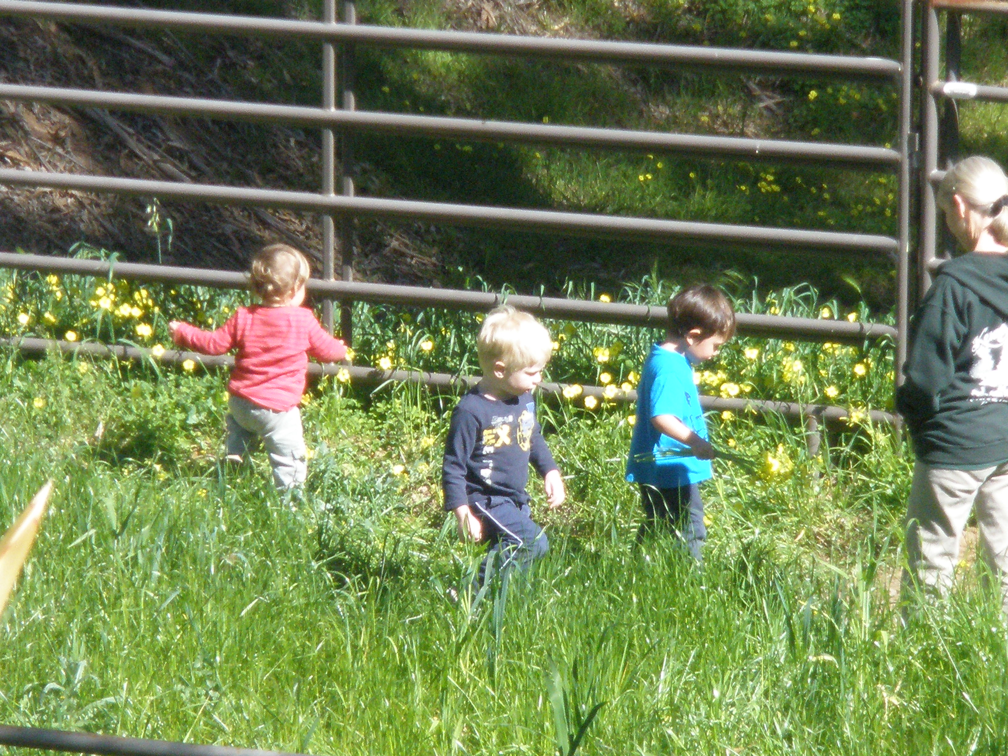 Growing Times Daycare's Photo