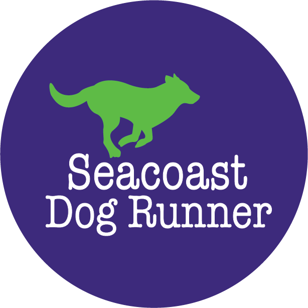 Seacoast Dog Runner's Photo