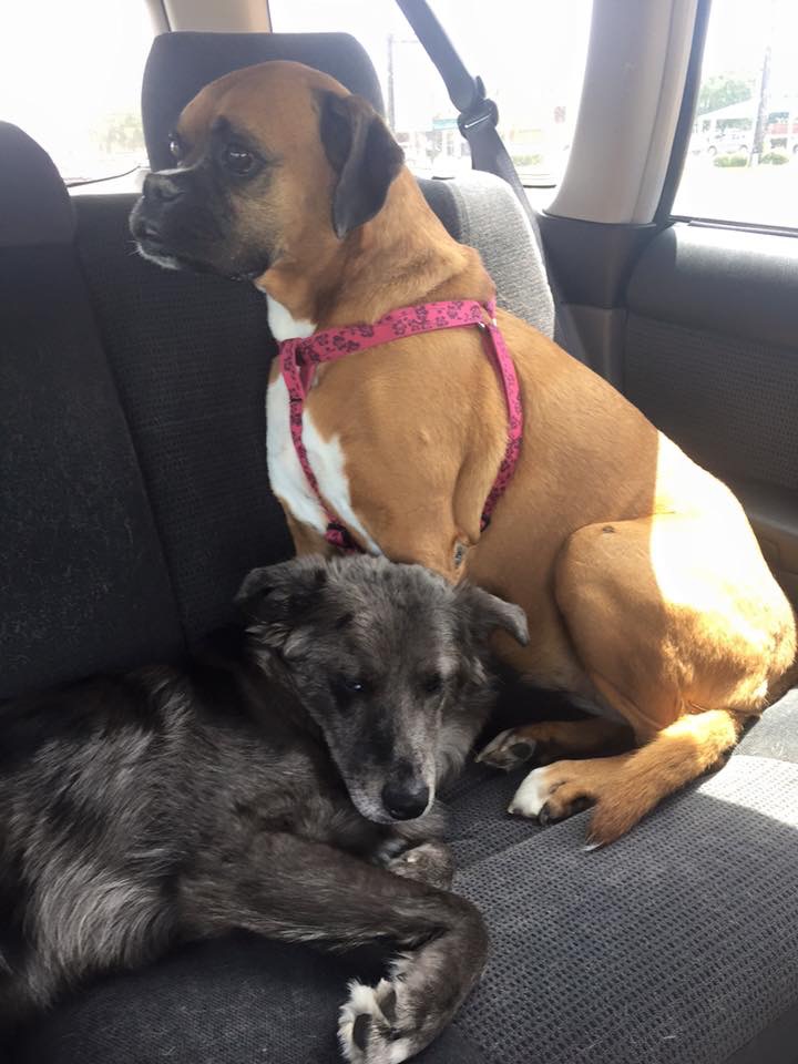 Trinity Home Services LLC's Photo