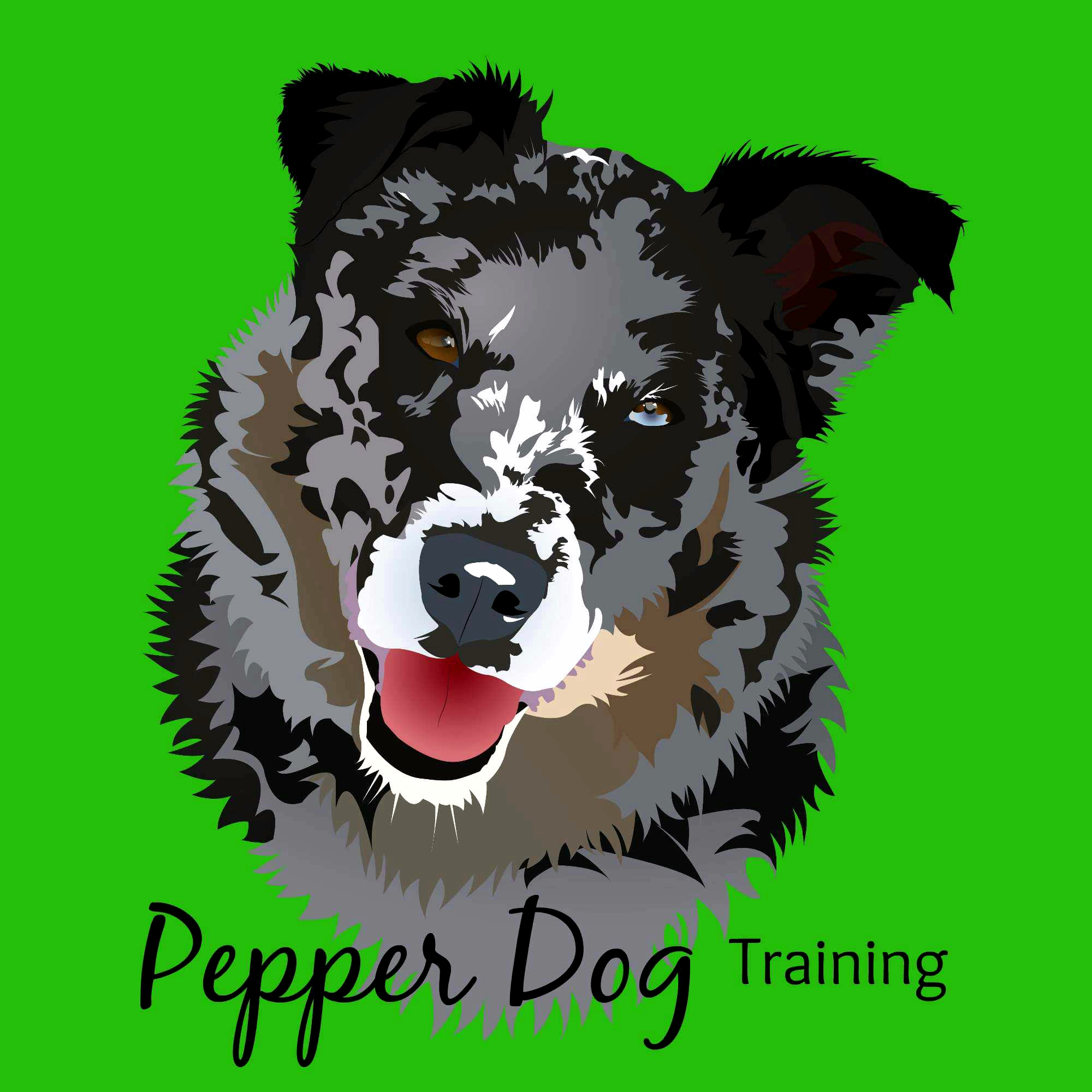 Pepper Dog Training & Dog Care's Photo