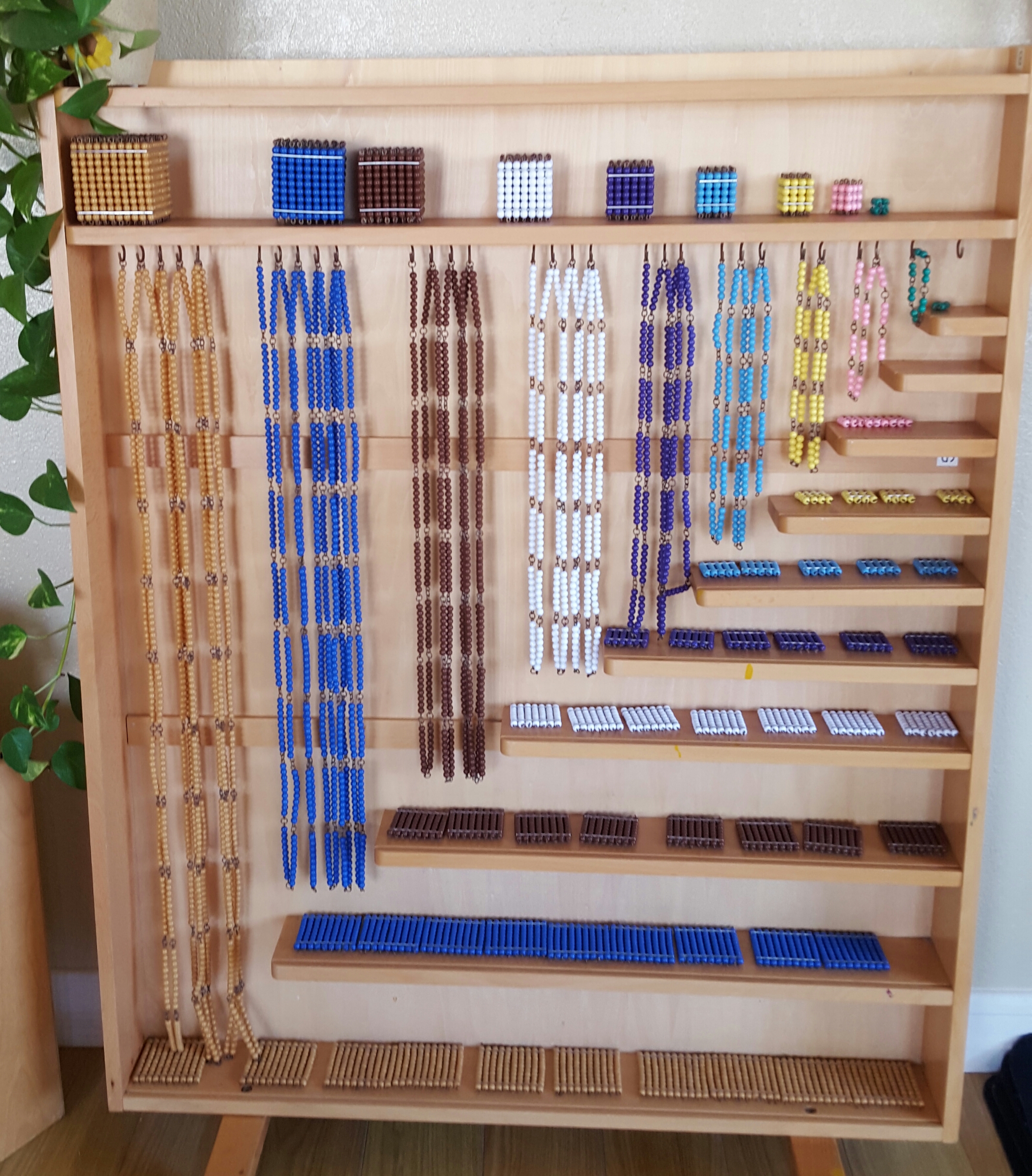 Montessori Learning Academy San Marcos's Photo
