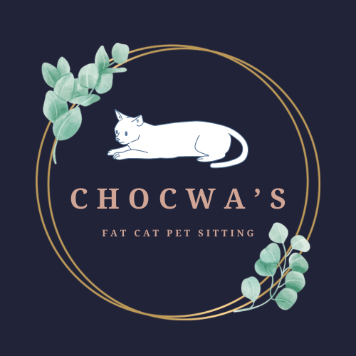 Chocwa's Fat Cat Sitting's Photo