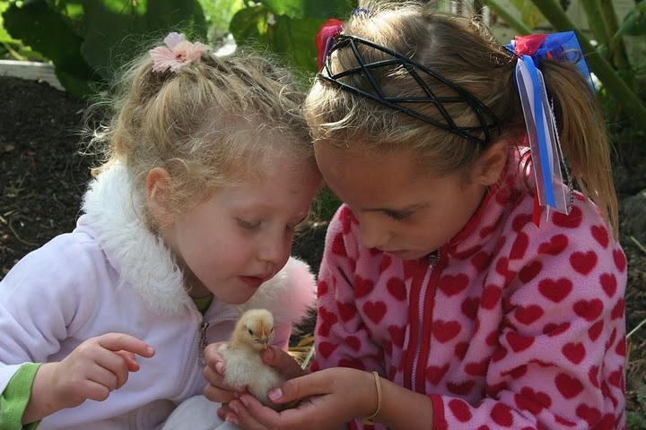 Lafayette Kids Cottage Preschool After School Care Logo