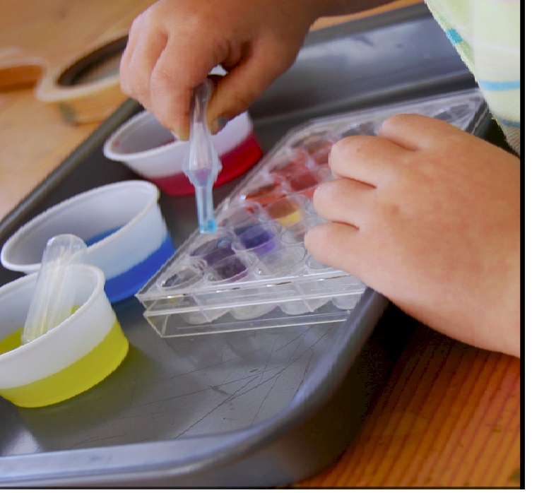 Duck's Nest School of Arts and Sciences's Photo