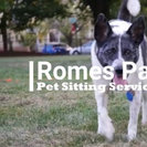 Romes Paws