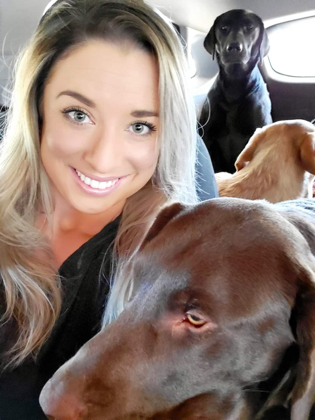 TMR Doggy Daycare's Photo