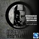 Iron Will Dog Training LLC