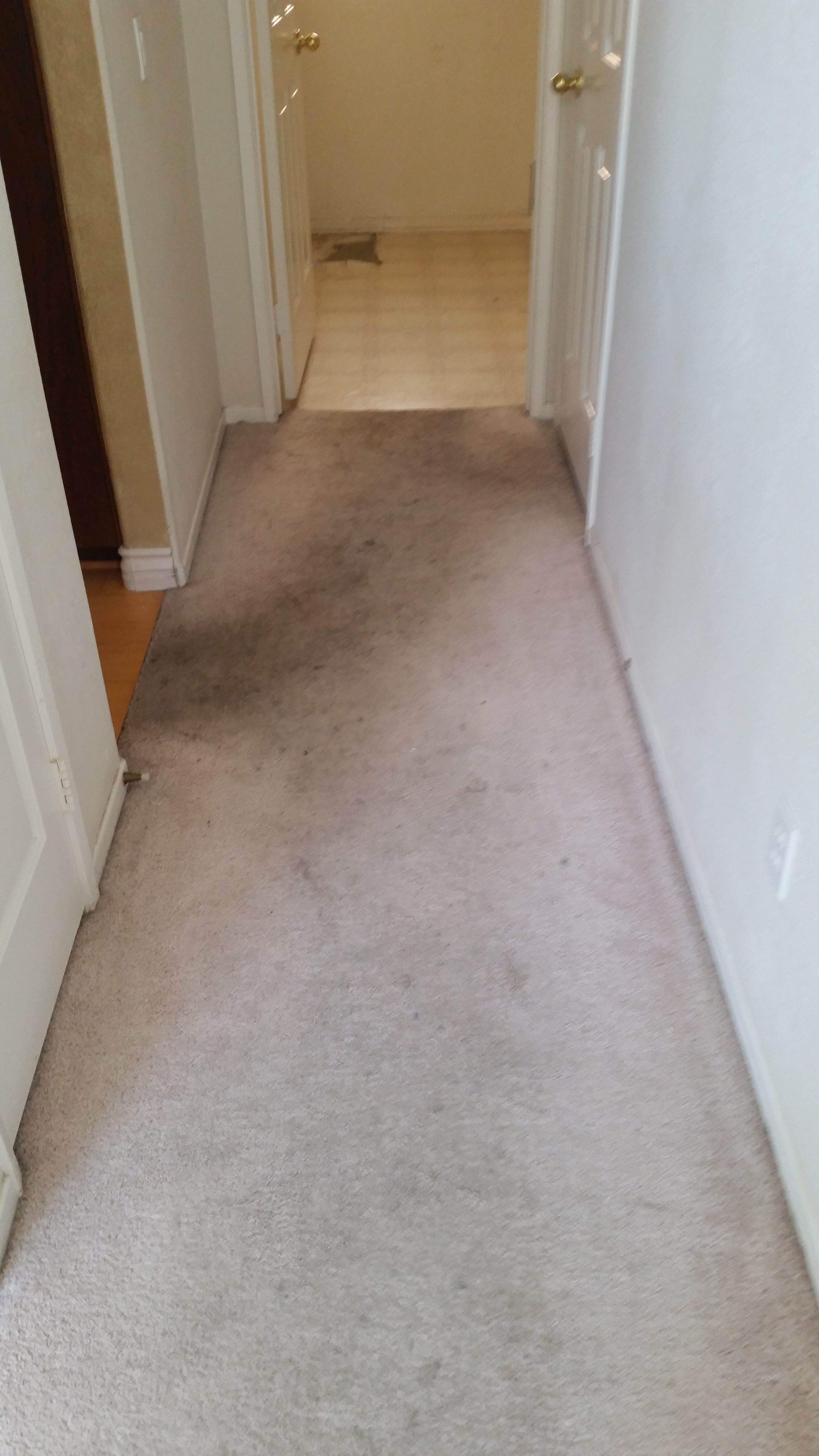 A.K.A Carpet Service's Photo