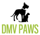 DMV Paws