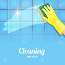 Sparkle and Shine Cleaning Company
