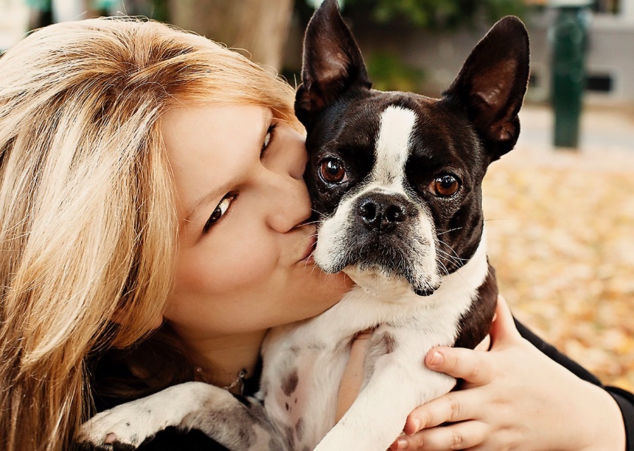 Walk 'n' Roll Pet Care's Photo