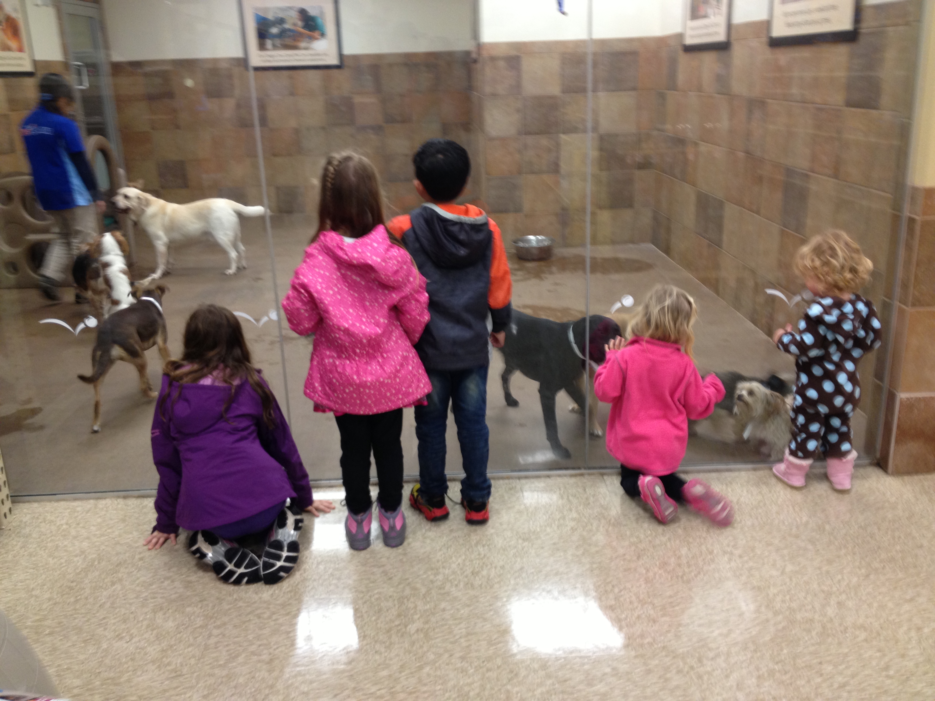 Minor's Town Childcare's Photo