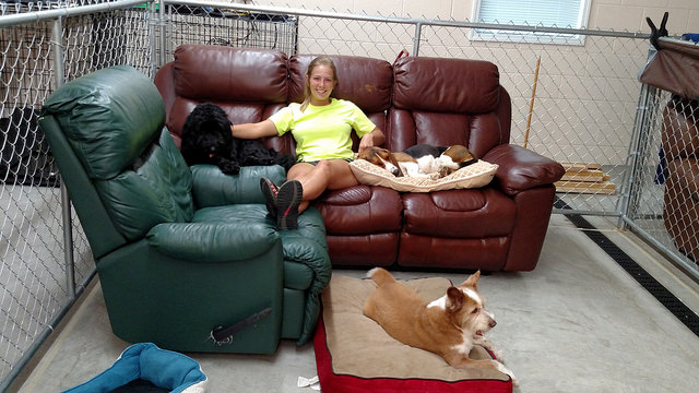 Our Home Doggy Daycare & Boarding's Photo