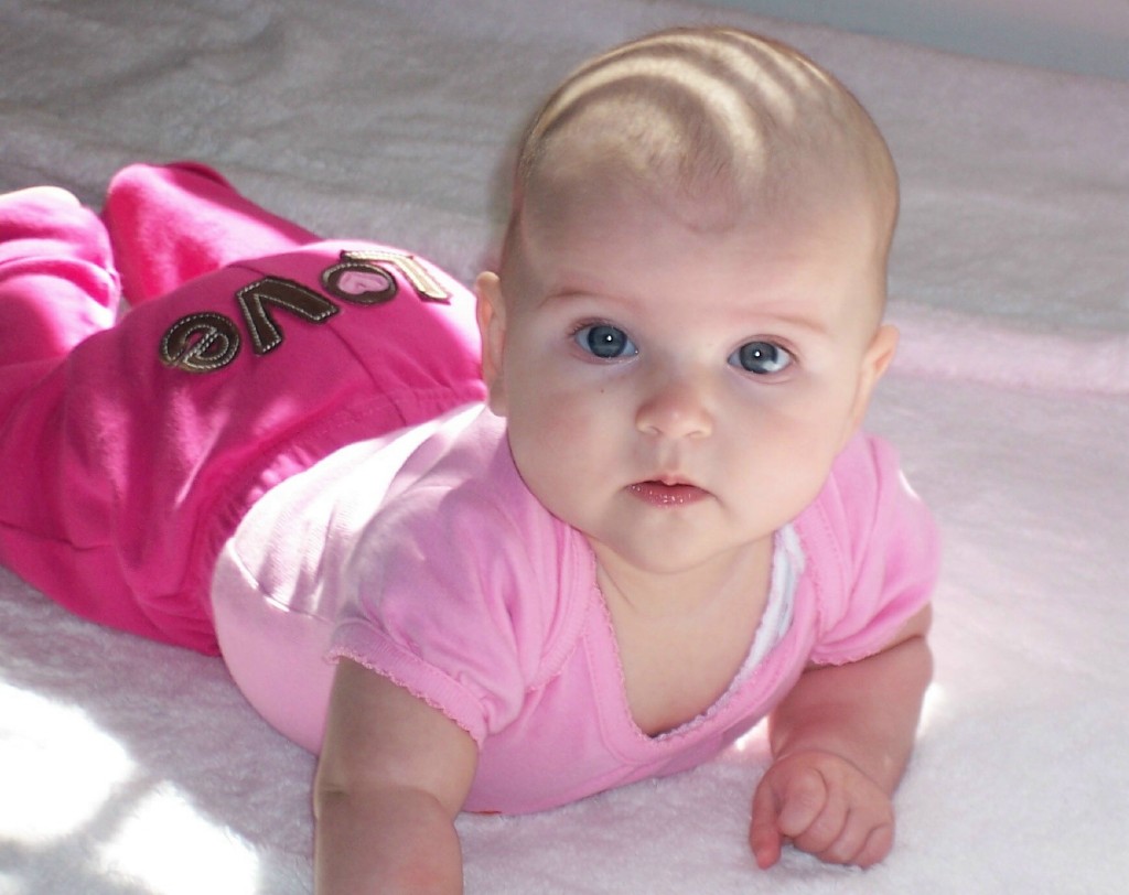 The Dream Tree In Home Child Care Center's Photo