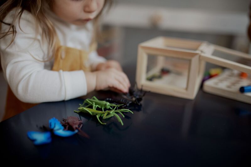 Sycamore Montessori Schoolhouse Logo