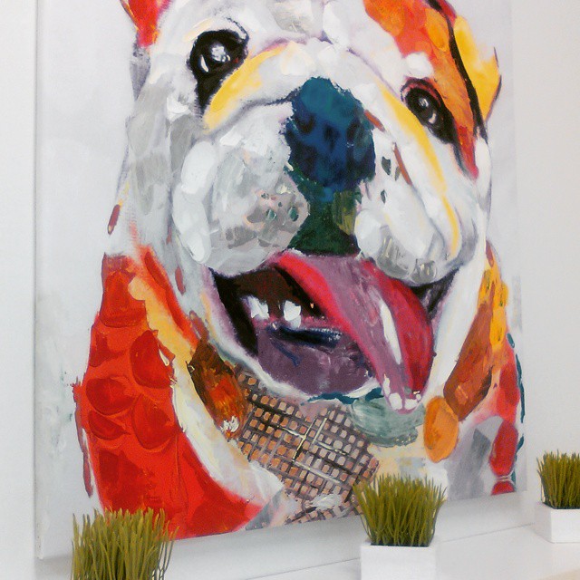 The Paw Shop's Photo